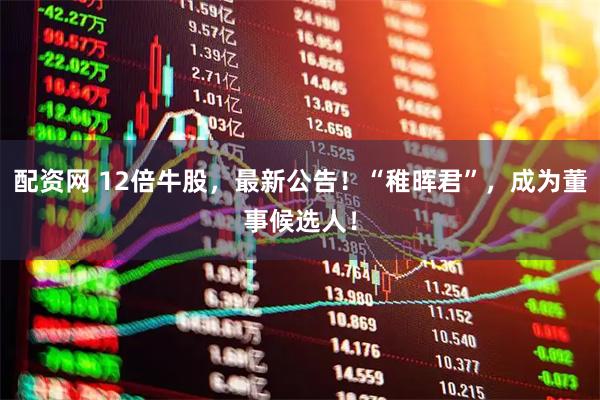 配资网 12倍牛股,最新公告!“稚晖君”,成为董事候选人!